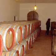 05_Cantina Castello di Albola (4)